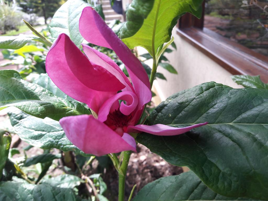 Pousada Cafe Mel 乌鲁比西 外观 照片